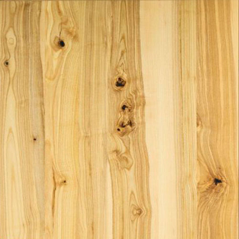 Holztür MODERN 10/V Holztür MODERN 10/V