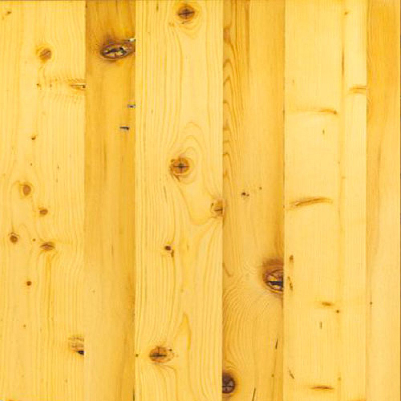 Holztür MODERN 10/V Holztür MODERN 10/V