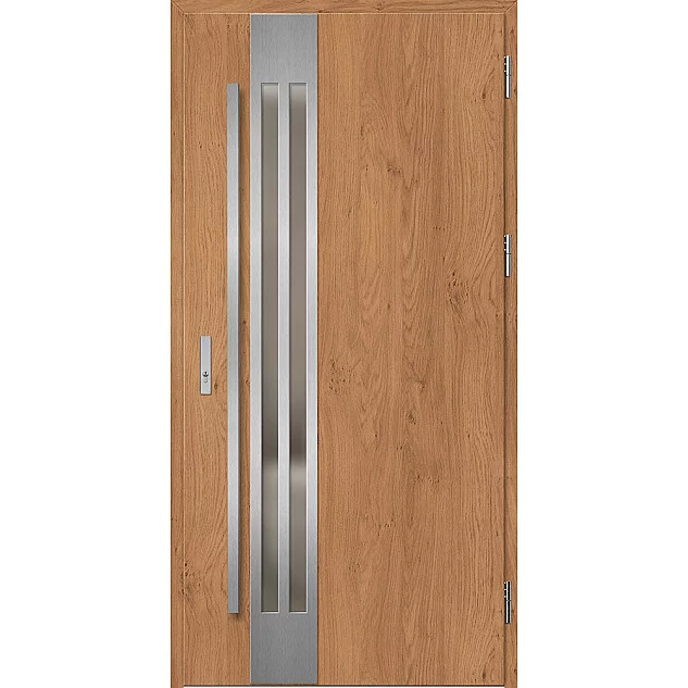 Oceľové vchodové dvere - LEIMEN 1 - Winchester, Label Inox Oceľové vchodové dvere ERKADO - LEIMEN 1 - Winchester, Label Inox