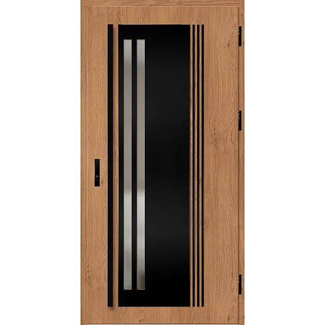 Oceľové vchodové dvere - LINDEN 5 - Winchester, Label Black Oceľové vchodové dvere ERKADO - LINDEN 5 - Winchester, Label Black