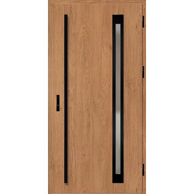 Oceľové vchodové dvere - TREBUR 3 - Winchester, Label Black Oceľové vchodové dvere ERKADO - TREBUR 3 - Winchester, Label Black