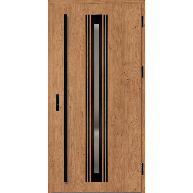 Oceľové vchodové dvere - TREBUR 5 - Winchester, Label Black Oceľové vchodové dvere ERKADO - TREBUR 5 - Winchester, Label Black