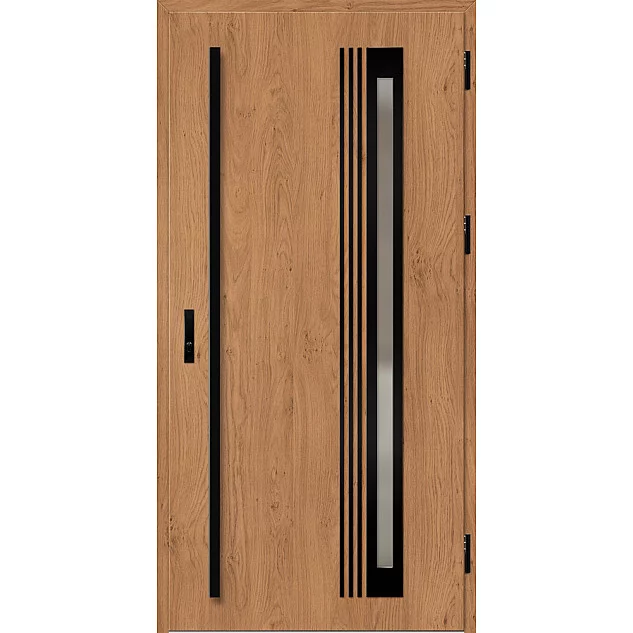 Oceľové vchodové dvere - TREBUR 6 - Winchester, Label Black Oceľové vchodové dvere ERKADO - TREBUR 6 - Winchester, Label Black