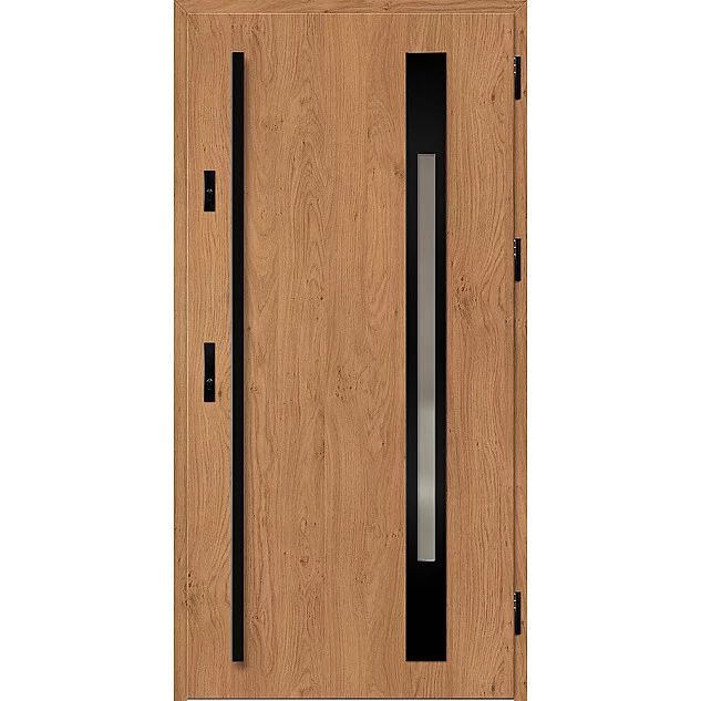Oceľové vchodové dvere - WELS 3 - Winchester, Label Black Oceľové vchodové dvere ERKADO - WELS 3 - Winchester, Label Black
