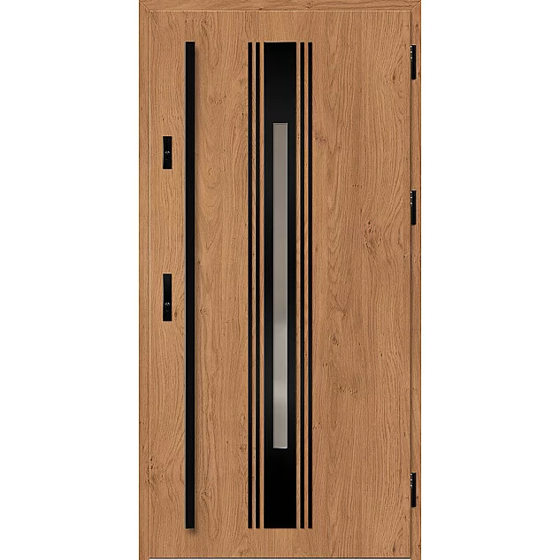 Oceľové vchodové dvere - WELS 5 - Winchester, Label Black Oceľové vchodové dvere ERKADO - WELS 5 - Winchester, Label Black