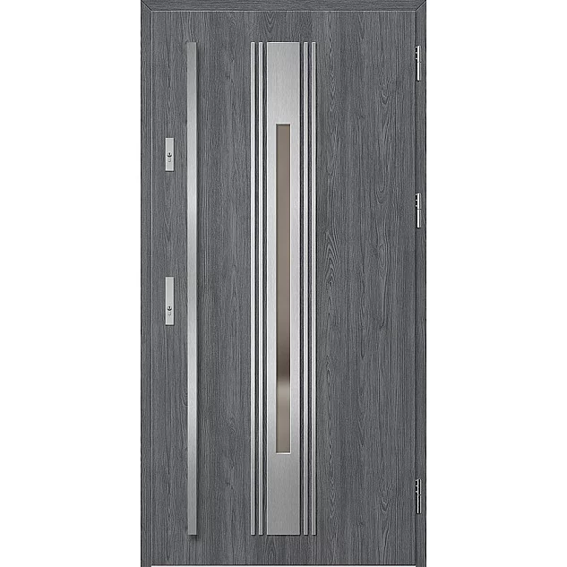 Oceľové vchodové dvere - WELS 5 - Dub Antracit, Label Inox Oceľové vchodové dvere ERKADO - WELS 5 - Dub Antracit, Label Inox